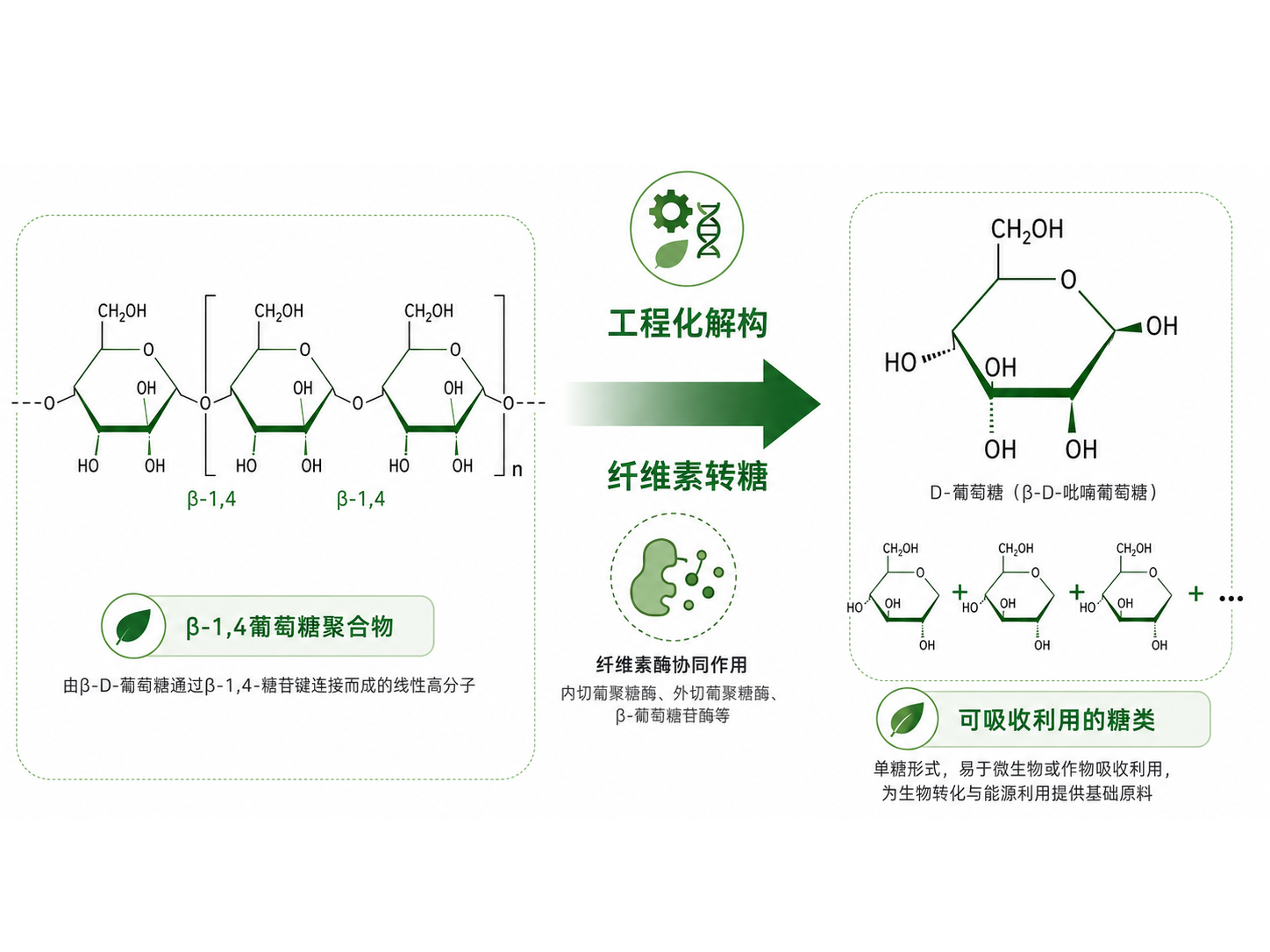 自有饲料厂量化投产
